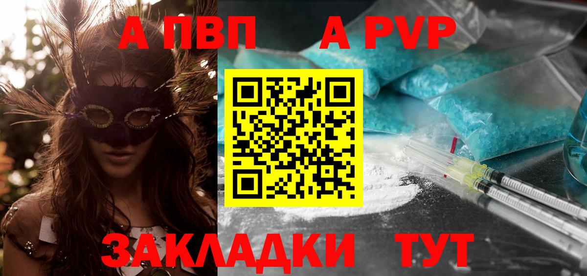 закладки  A PVP СК КРИС  Вход с VPN  Камышлов 