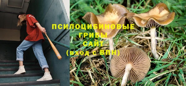 гашиш Зеленодольск