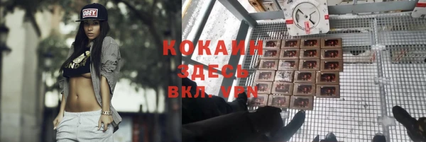 амф Зеленокумск