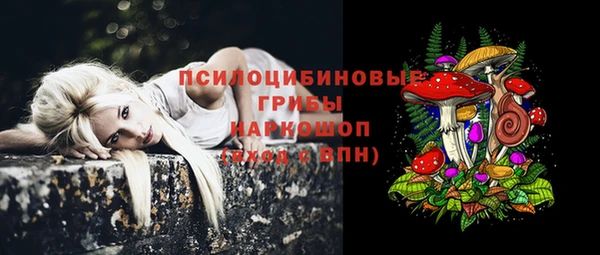 МДМА Ветлуга