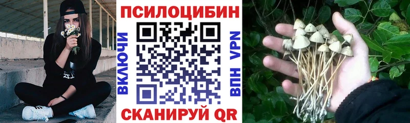закладка  kraken ссылки  Псилоцибиновые грибы GOLDEN TEACHER  Камышлов 