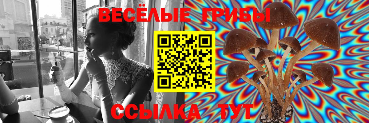 Камышлов  Псилоцибиновые грибы мухоморы  Вход с VPN 