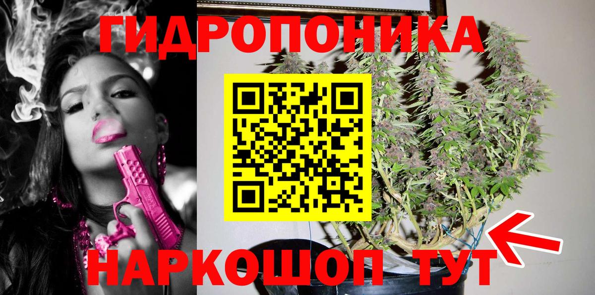 Камышлов  Бошки Шишки MAZAR  Каннабис White Widow  Вход с VPN 